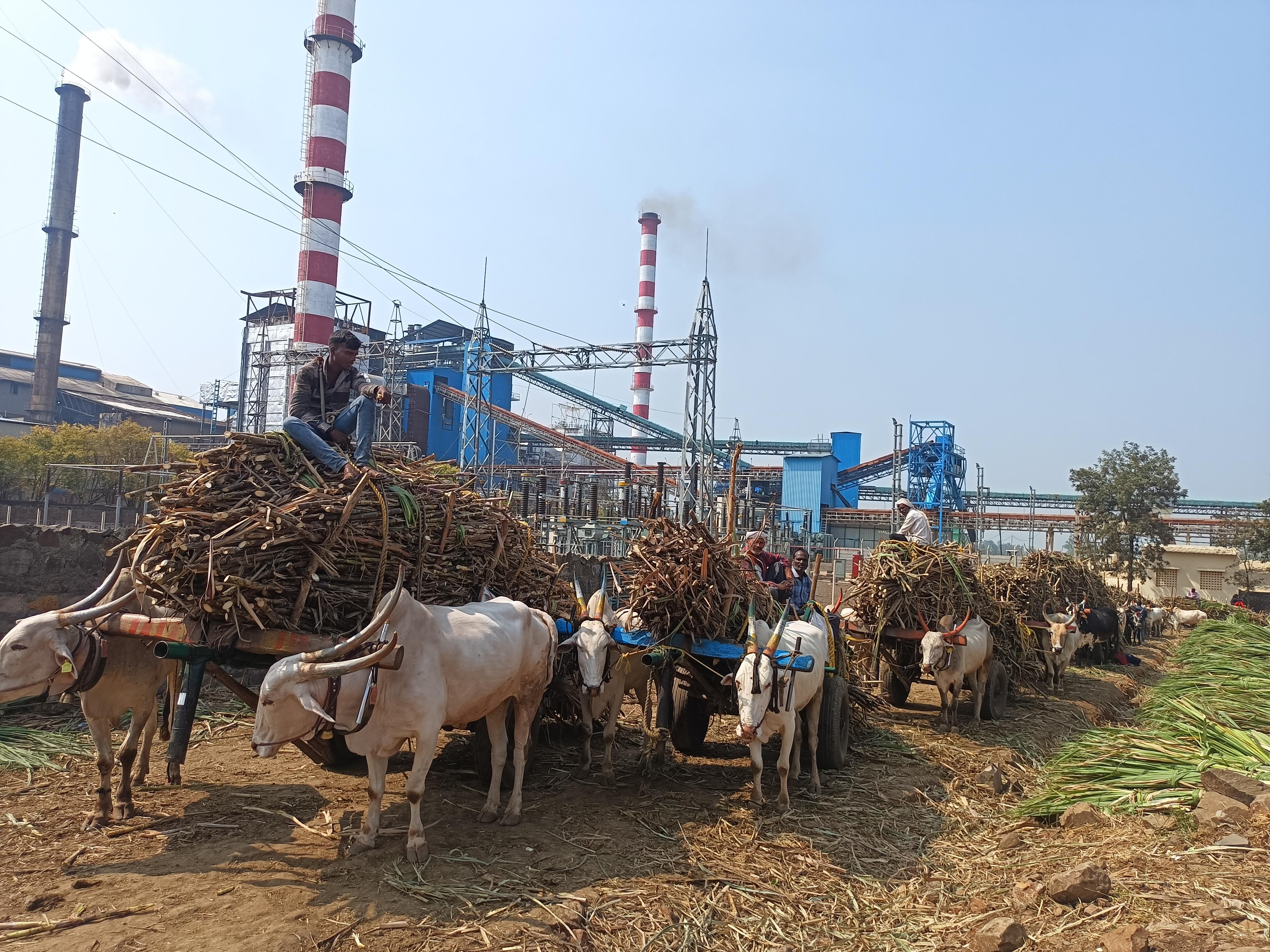 Transforming Sugar Manufacturing with the Power of AI and Sugar ERP - Cover Image